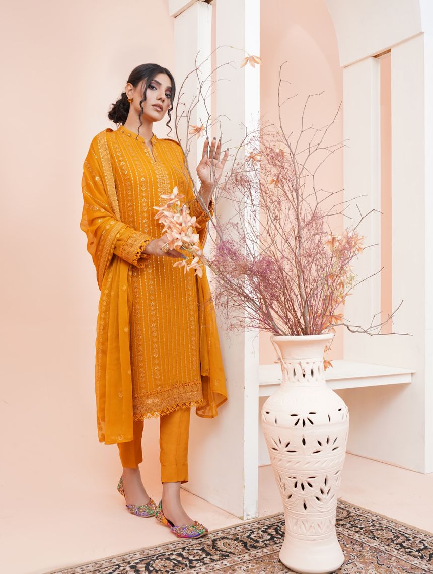 Gulnoor Embroidered Set
