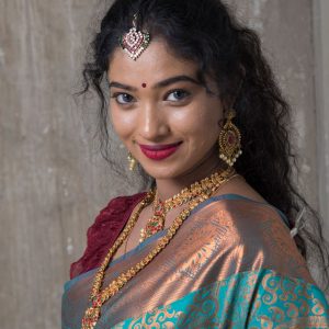 Gulbahar Chanderi
