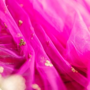 Arohi Chiffon Blush